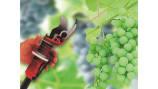 Průmyslové pístové kompresory KAESER ve vinařství.